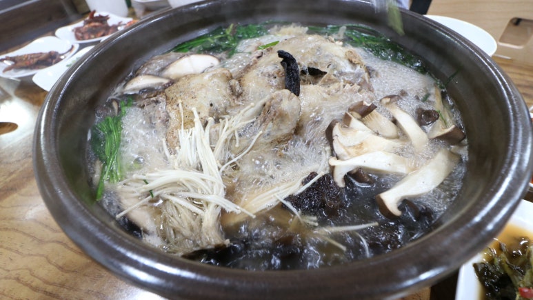 꿈낭 이미지