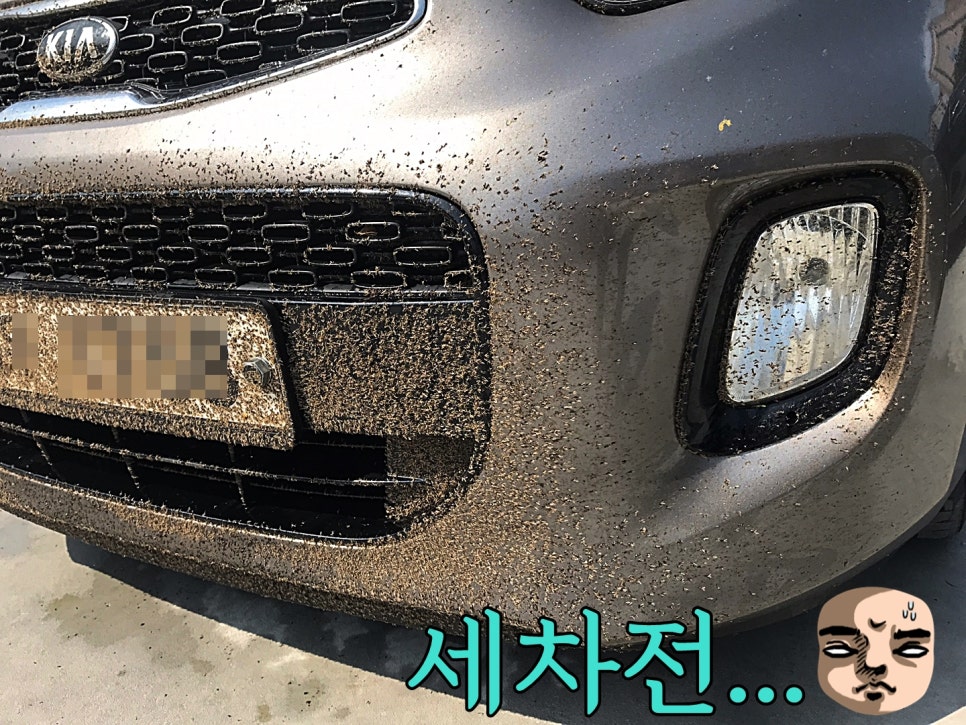 신화세차장 이미지