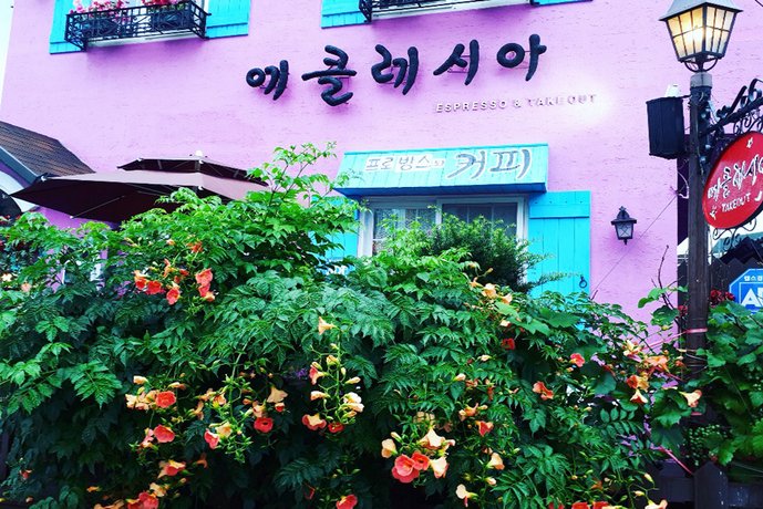 에클레시아의아침 이미지