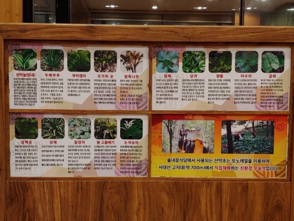 솔내음식당 이미지