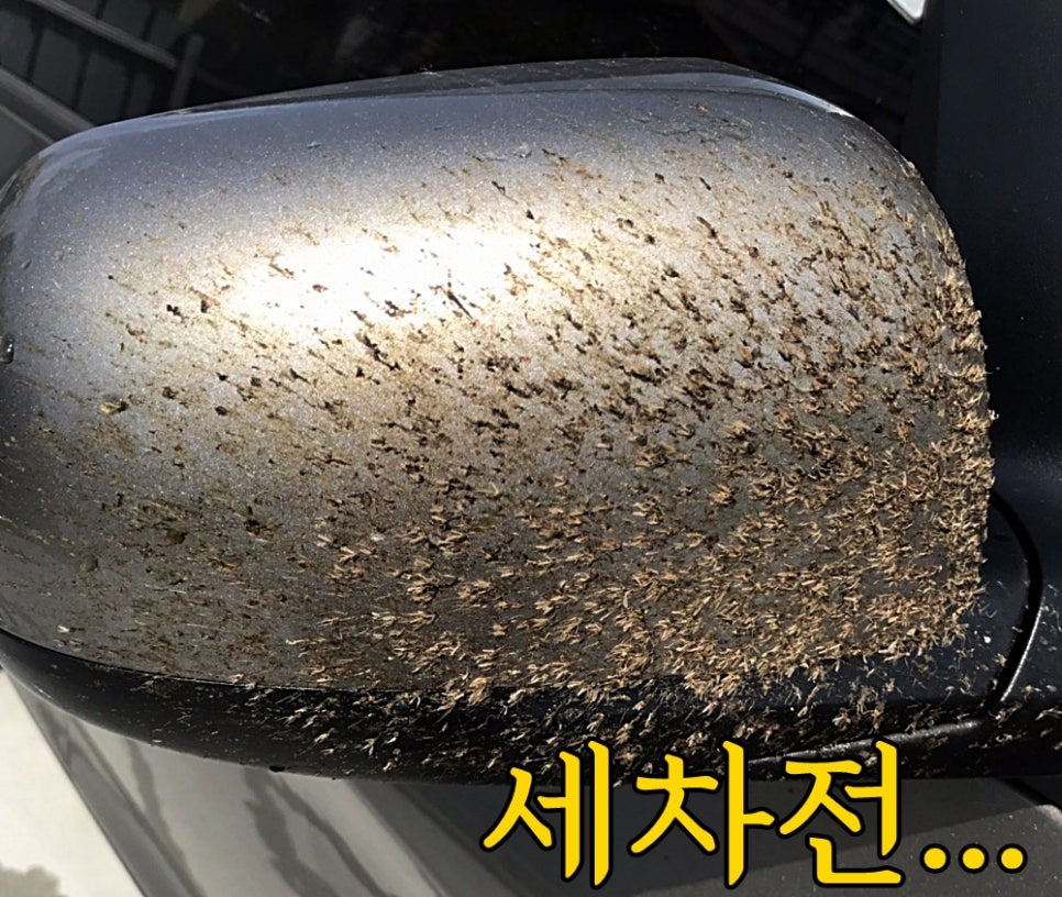 신화세차장 이미지