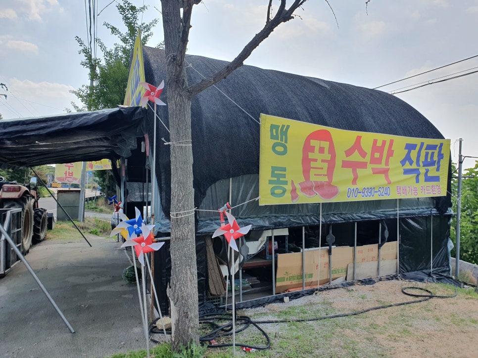 맹동주유소 이미지