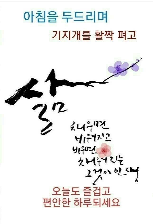 김마루 이미지