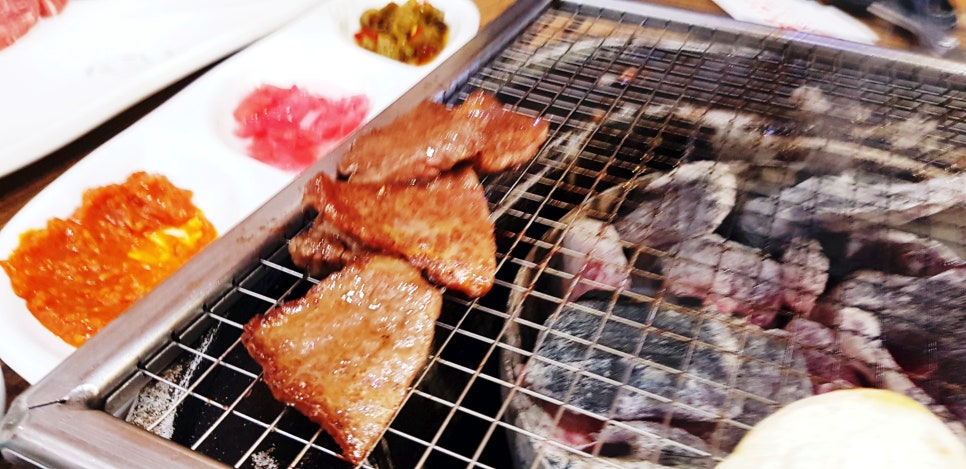 오늘은 생고기 먹는날 이미지