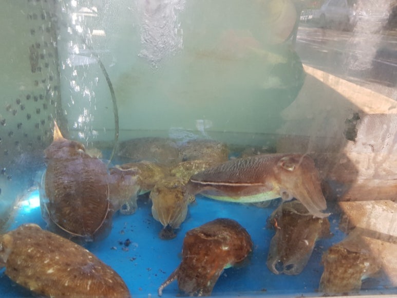 사량도펜션 이미지