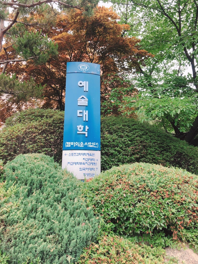 대학화방 이미지