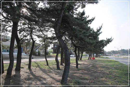 죽항수산 이미지