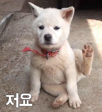 카페 우(CAFE WOO) 이미지