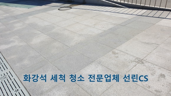 선린 CS 이미지