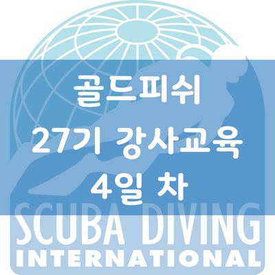레스큐피쉬 이미지