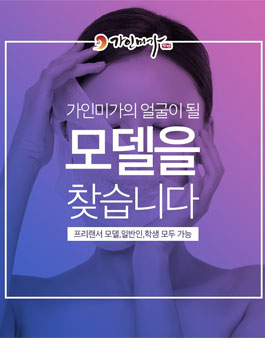 가인미가 이미지