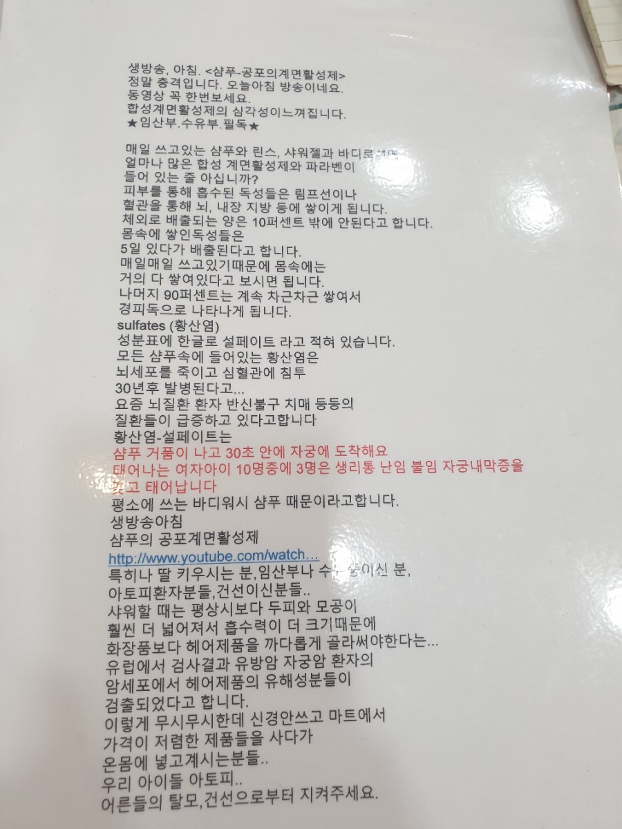 엘샤론 코리아 이미지