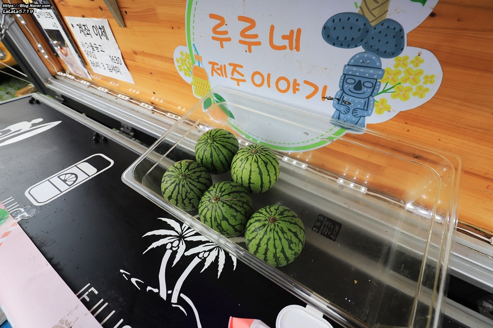 루루네제주이야기 이미지