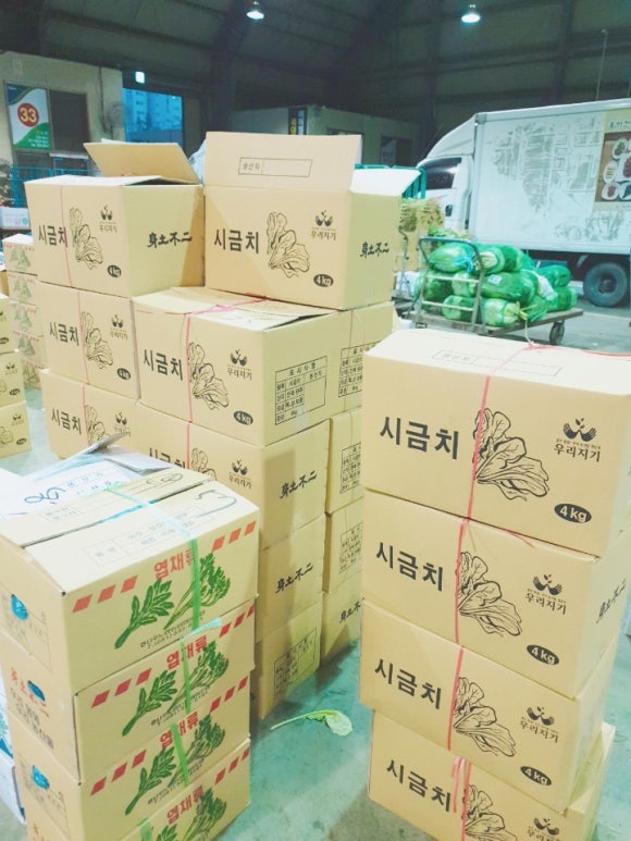 ６６번중매인 이미지