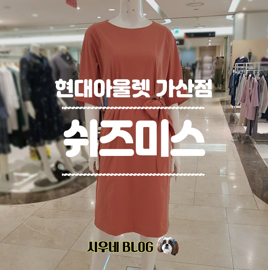 쉬즈미스현대 이미지