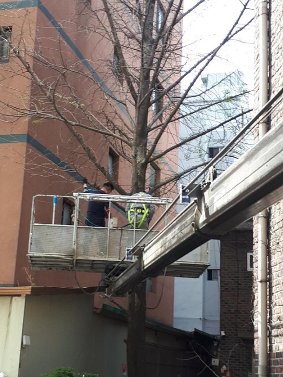 대호시설안전공사 이미지