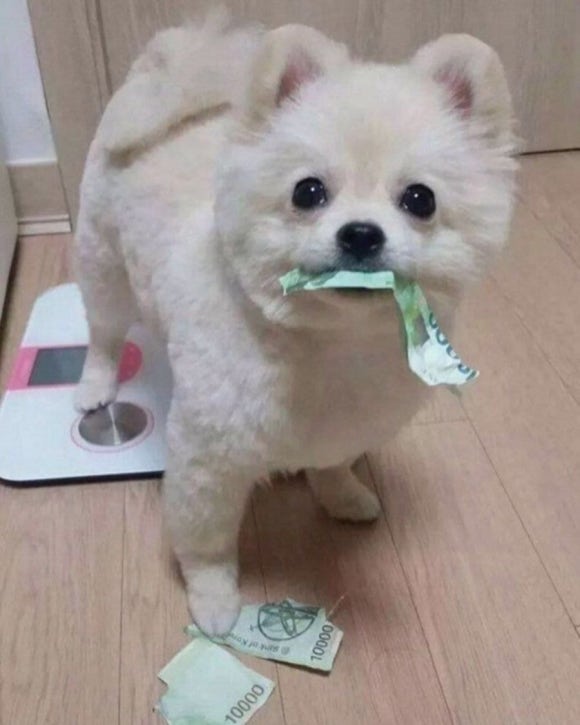 굿도넛 이미지