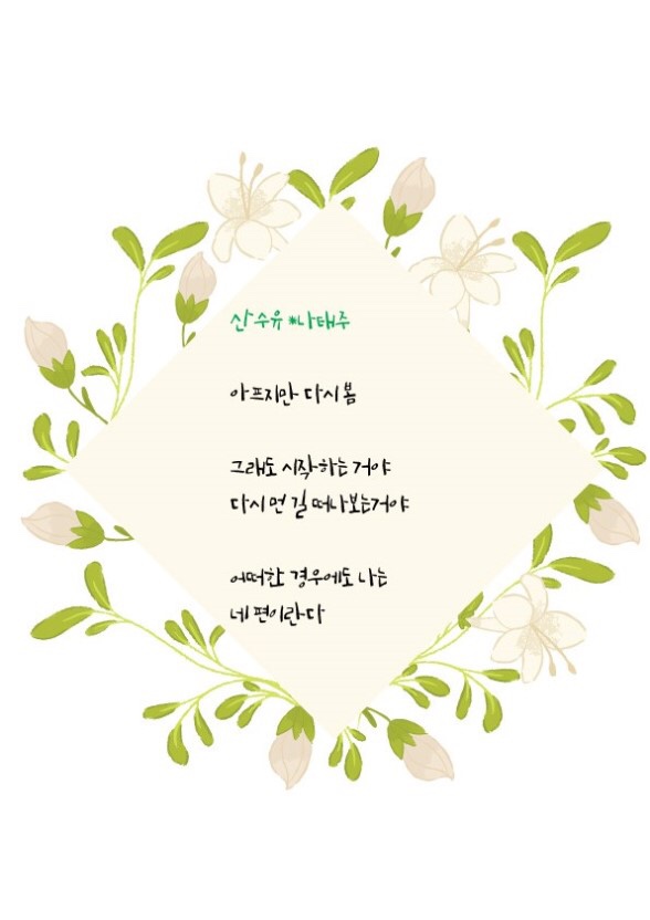 오토샤인 이미지