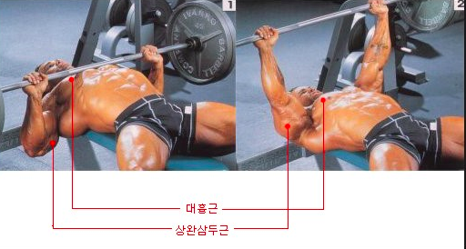 와이짐Y-GYM헬스 이미지