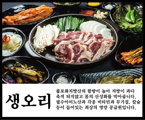 내몸에좋은오리 이미지