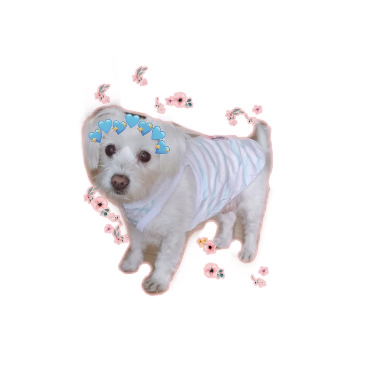나드리 모자 이미지