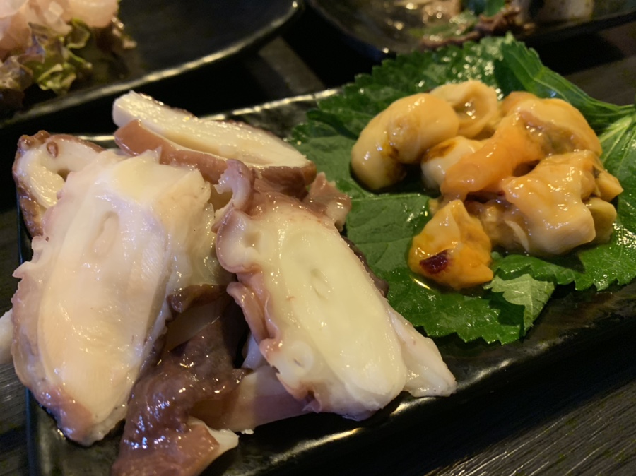 수색바라기 사진 8