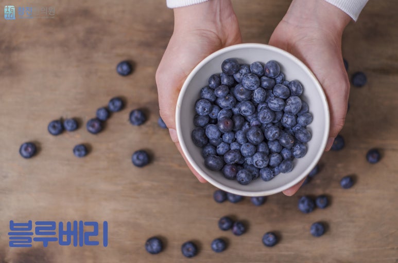 참진식품 이미지