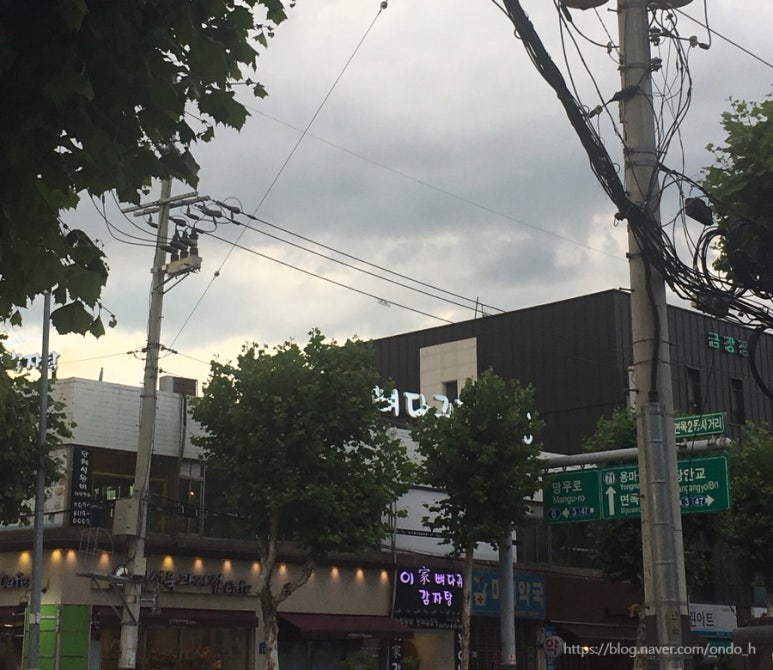 이가 뼈다귀 이미지