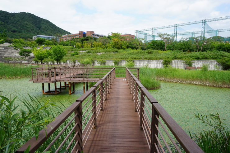세명대학교 학생회관 이미지