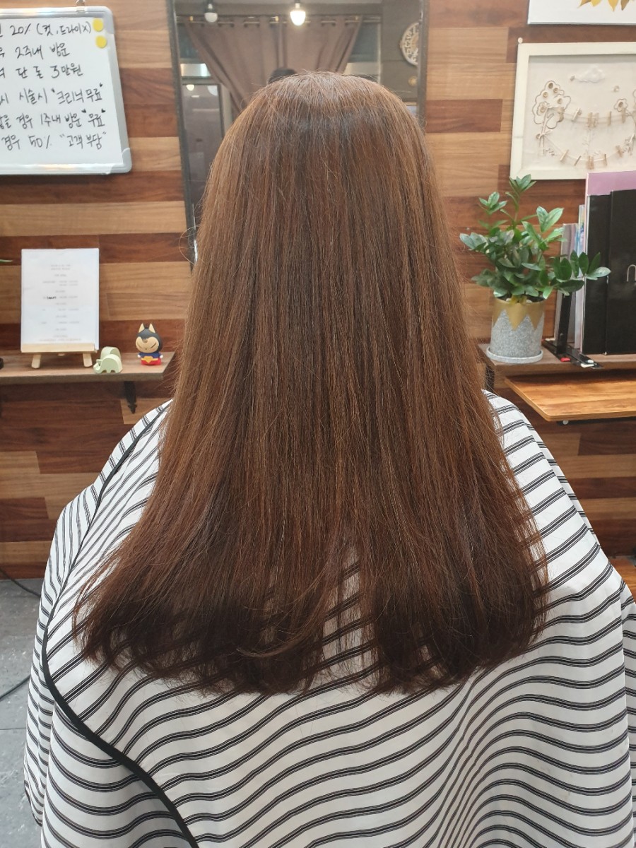 살롱인더반 이미지