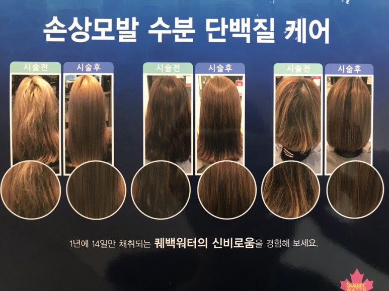 양지미용실 이미지