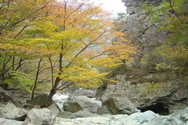 그림앤정원 이미지