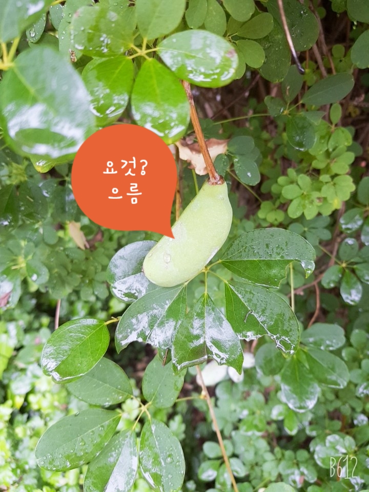 용추폭포가든 이미지