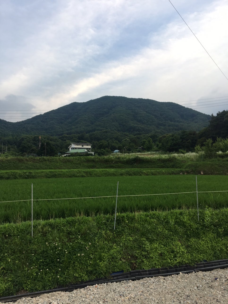 카페프레즈 이미지
