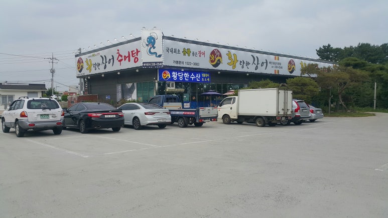 황당한장어 이미지