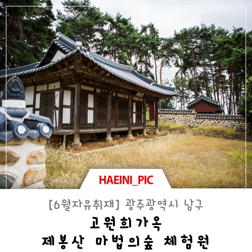 제봉산 마법의 숲체험원 이미지