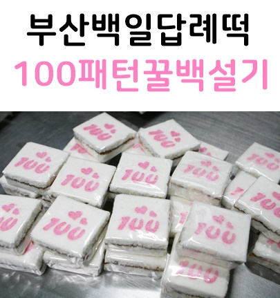 버클리명문유치원 이미지