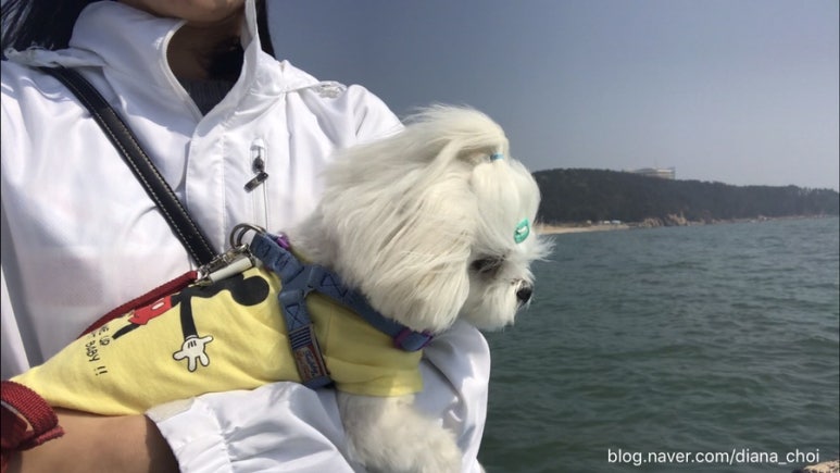 땅콩228 이미지