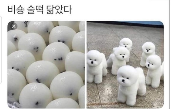 다원잔기지떡 이미지