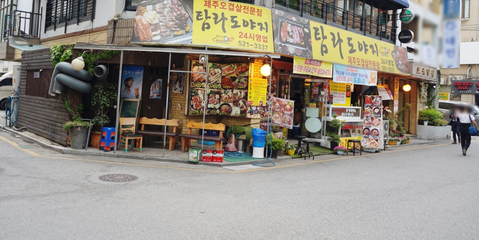 탐라도야지2 이미지