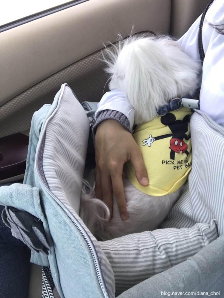 땅콩228 이미지