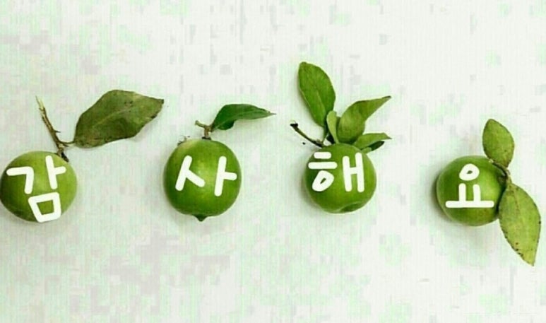 미성약국 이미지