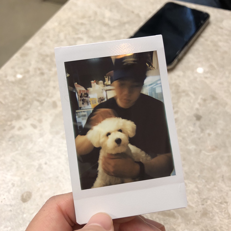 파이어벨 이미지