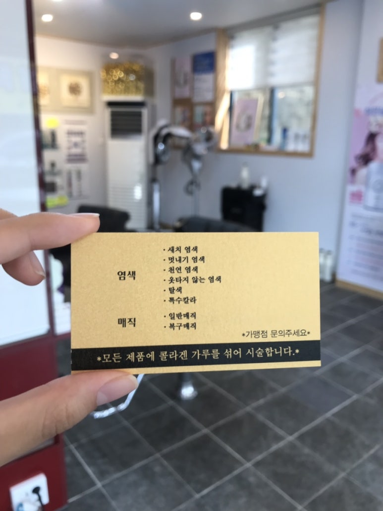 금빛칼라 이미지