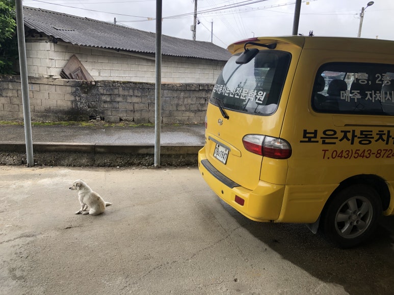 보은자동차운전학원 이미지