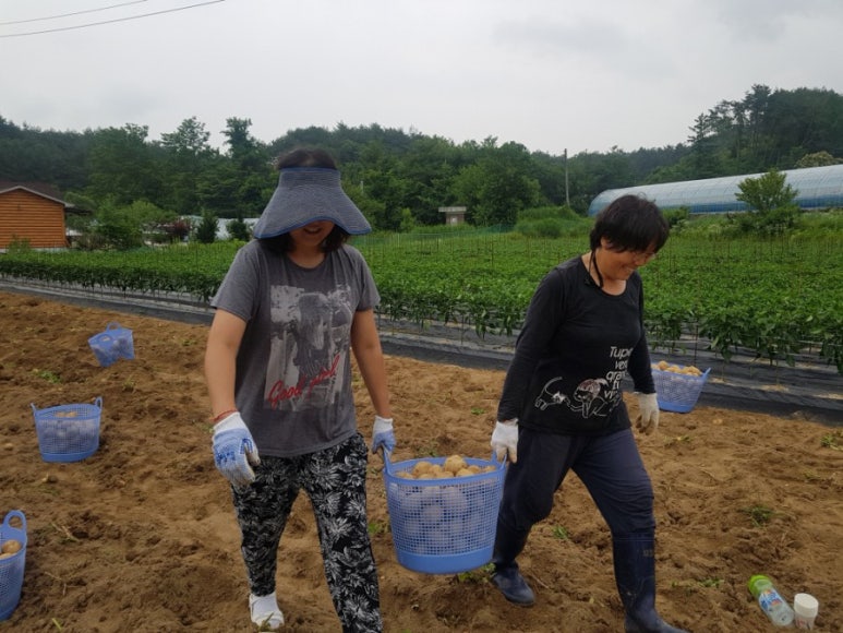 원이네 농장 이미지