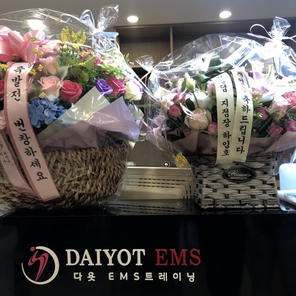 다욧이엠에스 이미지