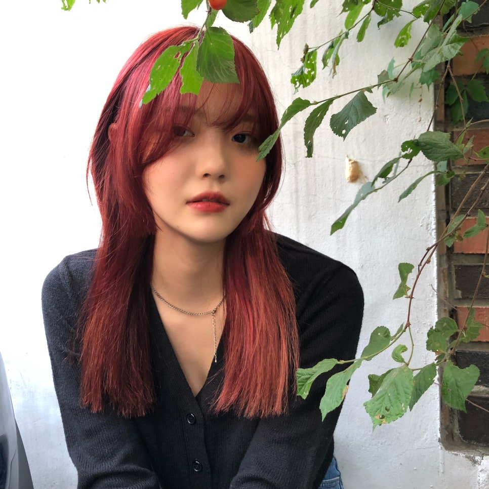 차홍룸 가로수길점 이미지