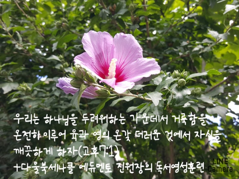 다울에듀 이미지