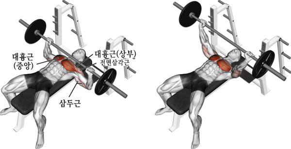 와이짐Y-GYM헬스 이미지